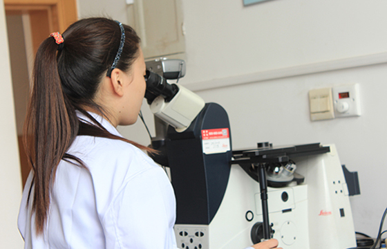 金属材料技术研究:金相显微镜 组织分析 金属材料技术研究:金相显微镜 组织分析